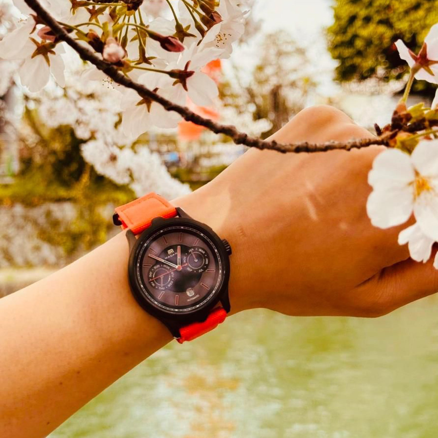 Cities: Tribute to Kyoto